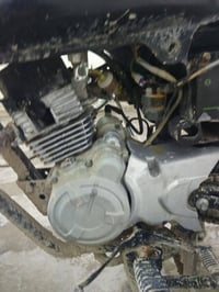 بوكسر • حلاويه • نجف