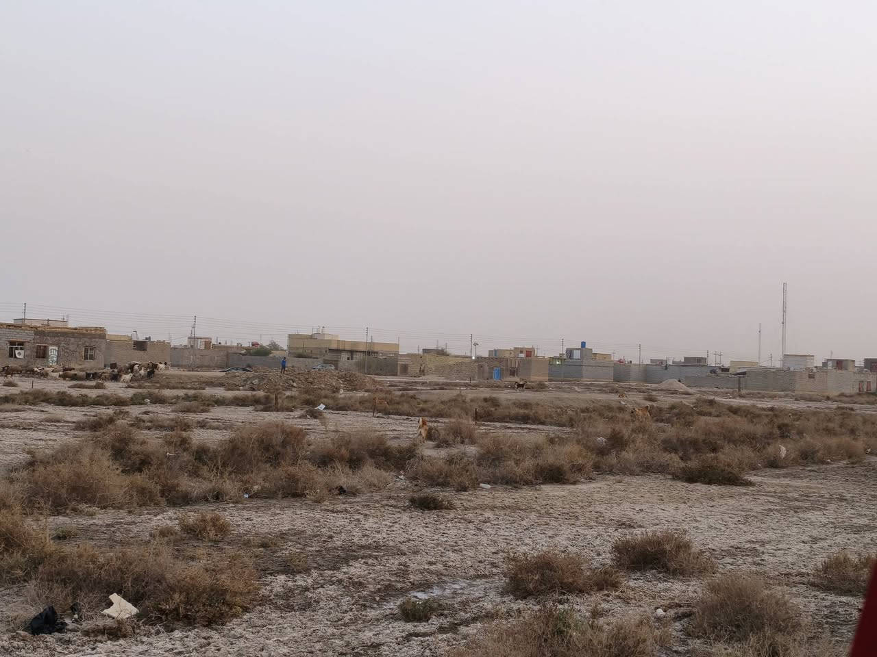 قطعه للبيع 200متر سوك الشيوخ حي الجوادين شارع الامام الصادق
-تبعد عن التبليط النازل 100متر
-تبعد عن الشارع العام 500متر
-متوفر ماء-كهرباء -تبليط
-***********
-السعر 6ونص وبيه مجال
