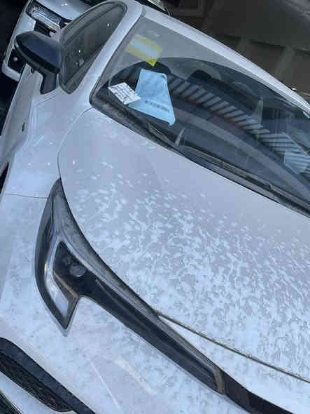 نحن اسره وكادر معرض المهره لتجاره السيارات الحديثه 🚙
نقدم لكم ارقى تحياتنا وحبنا لمتابعينا الكرام ♥️

انظموا الينا واستعدوا لاستكشاف عالم السيارات الحديثه 🚦
ونود اعلامكم عن توفر سياره لهذا اليوم :

🚘 كورولا S GR 🚘
🚘 زيرو موديل 2025 🚘
🚘 رقم بغداد الجديد 🚘
🚘 فول مواصفات 🚘
🚘 لون ابيض   🚘 
🚘 بلاك ايديشن 🚘

💰معرض المهره يعمل بنظام الكاش او مرواس السيارات 💰

للاستفسار يرجى مراسله الصفحه 👨‍💻
او الاتصال على الرقم ادناه ☎️
*********** واتس 

🚦 العنوان 🚦 بغداد / النهضه / الفرع الثالث
