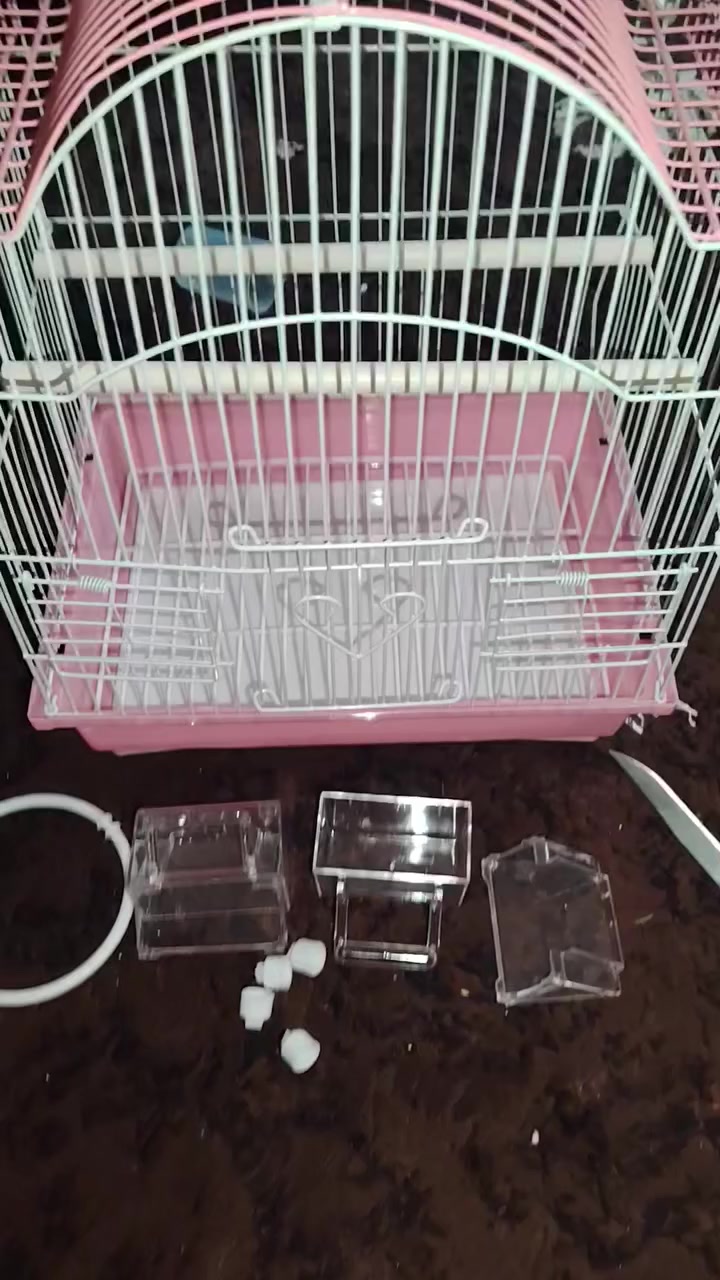 قفص 15 الف فقط


**إذا كنت صاحب هذا الإعلان وتريد حذفه لأي سبب، رجاءا أرسل رسالة إلى الدعم الفني**