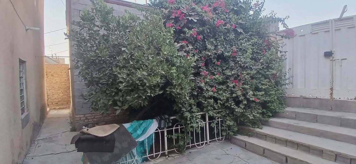 اللهم  صل  علـّۓ   محمد  وال  محمد
السَلٱمٌ عـَلـْيگمّ-ۈرحـْمّـٌة ٱللـّہ ﯙبُرگـّاتہ
يعلن   مكتب  الشريفي  للعقار   عن   وجود   دار   طابو   صرف   موقع   تجاري   
المساحته   با  السند   315   
واقع   حال   450  متر   
البيت   طابقين   
الآۆلْ  غرفتين   صاله   مطبخ   استقبال   محلات   عدد  2
الطابق  الثاني   غرفتين    مع  صاله  
البيت  بيه  حديقتين   
واله  وجهين  
الموقع   سده  الهنديه   خلف  مركز  الشرطه   مقابيل  گراج  الري   
ع شارع  العام   مباشر   
السعر   290  وقابل   للتفاوظ  
اي  استفسار  
***********
***********
***********
