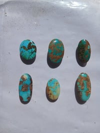 فيروزة نيشابور • طبيعي • عروض رمضانية