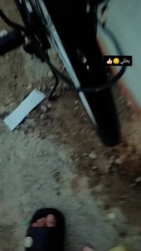 باسكل • حجم ٢٦ • ديوانية