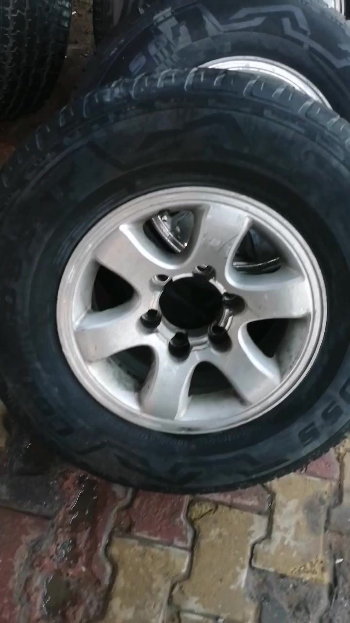 تخم حجم ١٥ للبيع السعر ٣٠٠ مكاني ميسان ***********
