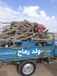 حطب • ستوته • قرب المحجر