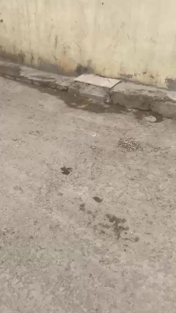 السلام عليكم
قطعه للبيع مبني بيها استقبال وحمام خارجي 
الواجهه ٧.  والنزال ١١  معزولة عن البيت


**إذا كنت صاحب هذا الإعلان وتريد حذفه لأي سبب، رجاءا أرسل رسالة إلى الدعم الفني**