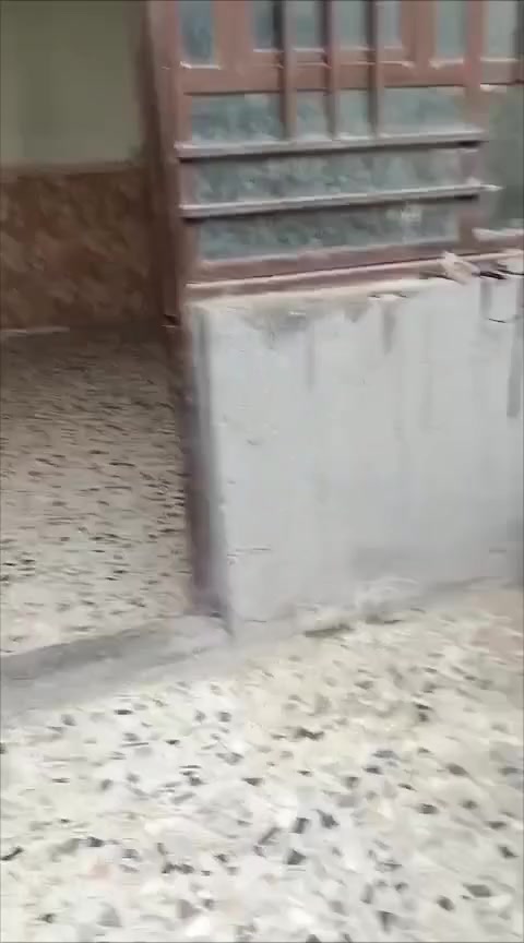 بيت للايجار ‏‪***********‬‏
