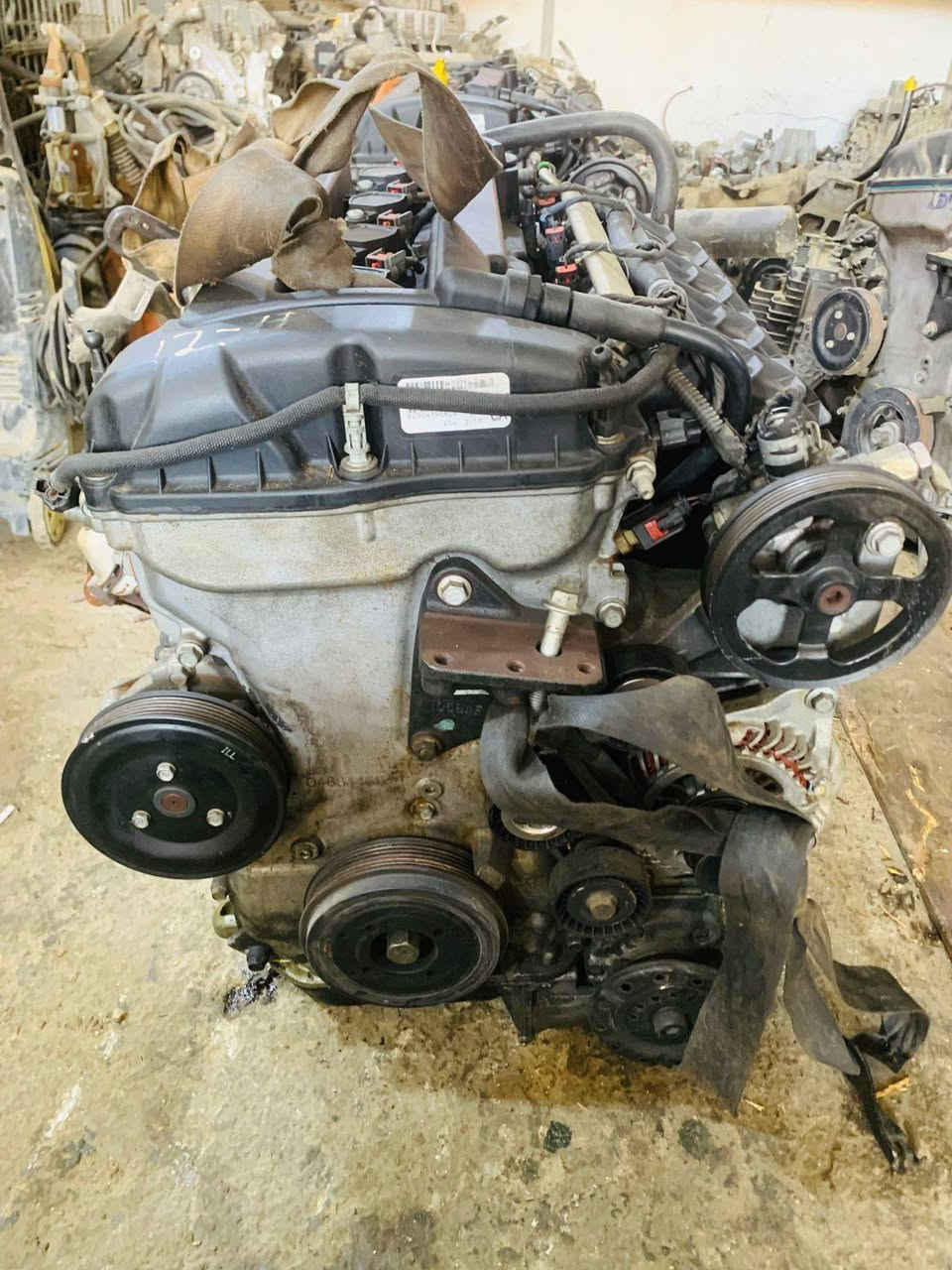 على بركة الله تم وصول  محركات 3600  جورني كرفان 
محركات 2400 كومباس باتريوت رنكد C200 جورني افنجركليبر كافة الموديلات 
محركات اكاديا ترفرس  من 2008الى 2020
كير عصا وهيمي ومارسيدس 
كير جورني وافنجر 2400
كير باتريوت دارت C200
مشط جورني باتريوت كومباس افنجر
اكسنات جارجر اوباما 2010 /2011/2016
كاردنات جارجر اوباما 
دبات ماء تفصيخ وجديد
قواعد فيوزات وعقول  كافة الموديلات 
جوزات مع بصمات تشغيل 2010  
جوزات بريك اوباما جارجر 2010
سيطرات جام تفصيخ وجديد من 2008 الى 2022 حارجر اوباما 
ضفاير محرك
تانكي بانزين اوباما جارجر دورنكو 
عبوات فيت بم ومساعد اوباما جارجر جيب تفصيخ وجديد 
قفل ابواب  وجنطه اوباما جارجر كافة الموديلات 
الديوانية الحي الصناعي 
*********** /*********** واتساب
