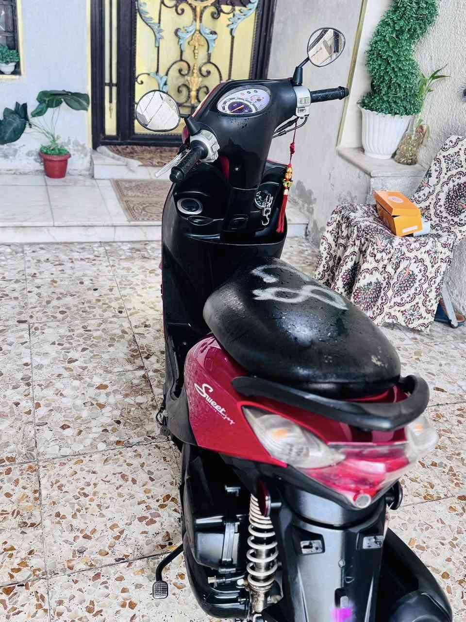 دراجه منغولي حديث السعر خاص ( ***********)
