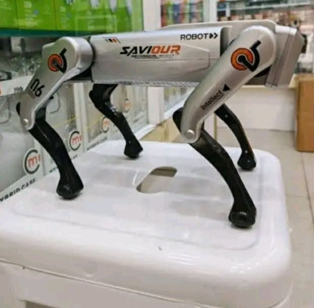 روبوت ذكي يستجيب للأوامر مزاد لأعلى سعر


**إذا كنت صاحب هذا الإعلان وتريد حذفه لأي سبب، رجاءا أرسل رسالة إلى الدعم الفني**