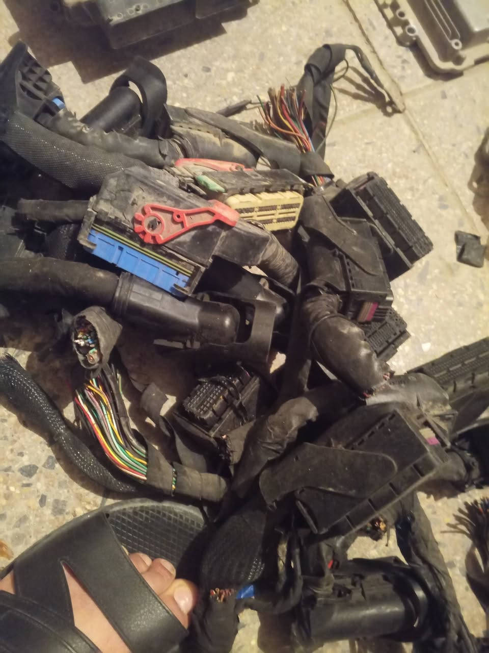 وصول فيش عقول كوري 
للبيع جمله فقط 
الاتصال على الرقم التالي ***********
وات ساب........... ***********
ملاحظه يوجد الدينا خدمة توصيل كافه محافظات
