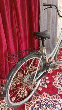 باسكل • قضاء شامية • عيب تجميلي