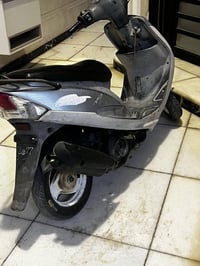 ماكس منغولي • بوشة ٤٩ • سلف