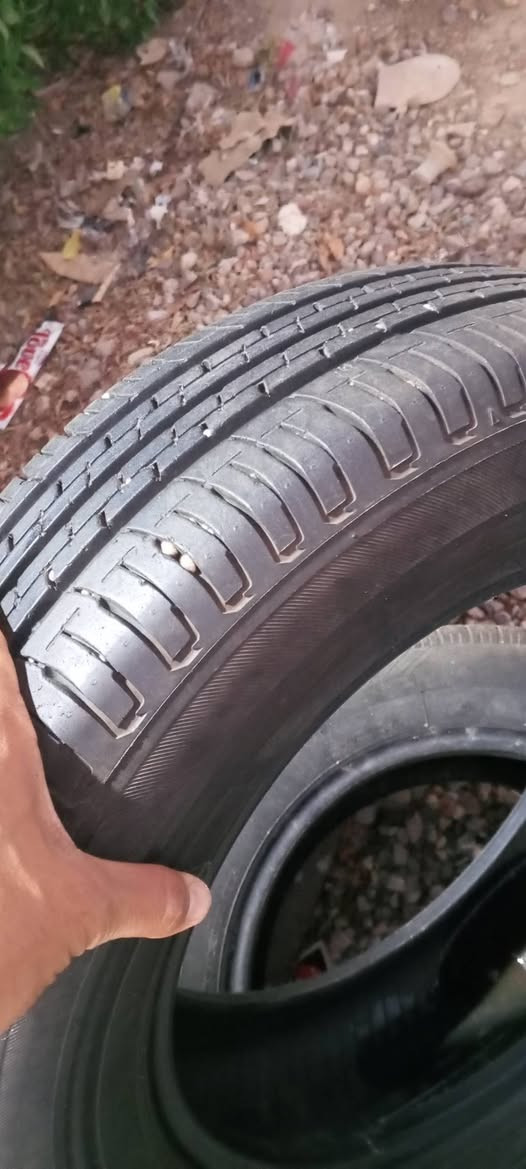 تايرات نيسان سني حجم 15 الابلاد بيهن ركعة وفتيلة مكاني شارع المعارض البصرة سعر 85  الف كلهم ابيعهم


**إذا كنت صاحب هذا الإعلان وتريد حذفه لأي سبب، رجاءا أرسل رسالة إلى الدعم الفني**