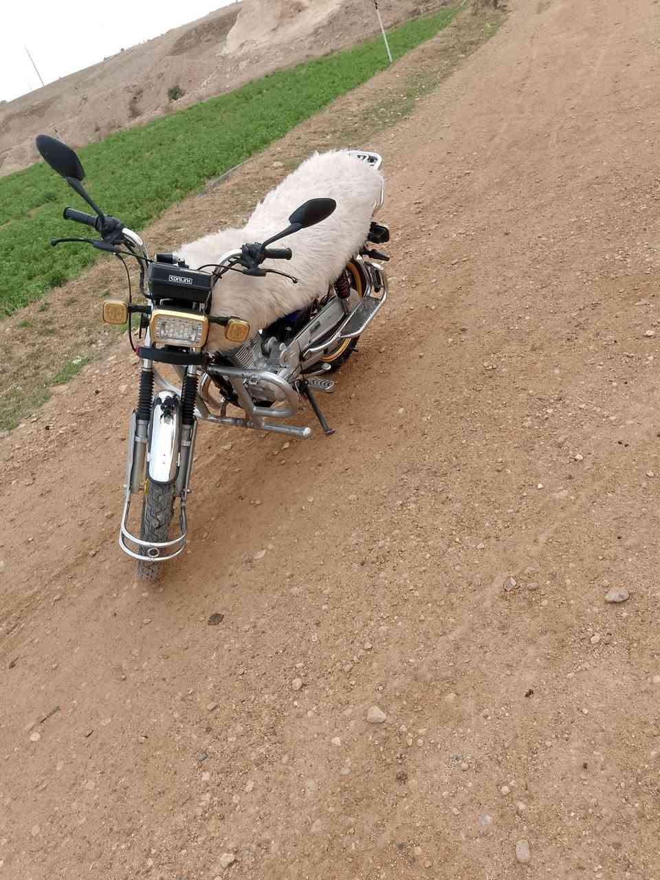 دراجه سولنك البيع نضافه خير من الله  موديل 2022 مكمرك عله حض راعيه الشراي ينورني خاص ادمن حب


**إذا كنت صاحب هذا الإعلان وتريد حذفه لأي سبب، رجاءا أرسل رسالة إلى الدعم الفني**