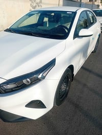 ٢٠٢٤ • ماشية ٦٢ • بغداد