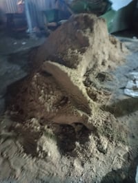 رمل زايد • بلاش • شارع التراث