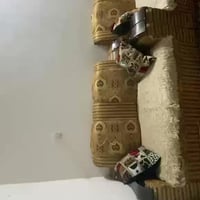 كنبة • للبيع