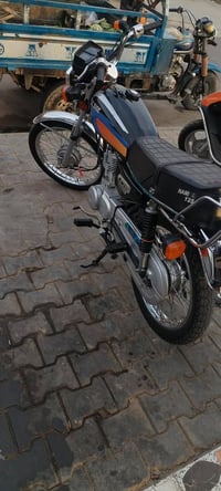 شلامجة • موديل 23 • أوراق أصولي