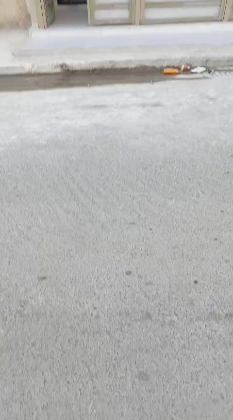 للبيع للبيع
بيت ٧٥ متر زيرو بناء حديث ٢٠٢٦  في منطقه ديوان المخابرات شارع نافذ للتجاري متكون  استقبال ومطبخ وحمامين ٣ غرف نوم ومناور وباب قاصه وعرض الشارع ١٥ متر وسعر مناسب علما يوجد عروض اخرئ كافه مناطق حي الجهاد  ونواحيه وكل العروض مناسبه للاستفسار الاتصال على الرقم *********** ويوجد واتساب
*********** ويوجد واتساب
مكتب الرافد للوساطة العقارية
