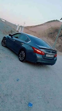 التيما • ٢٠١٧ • شقلاوة