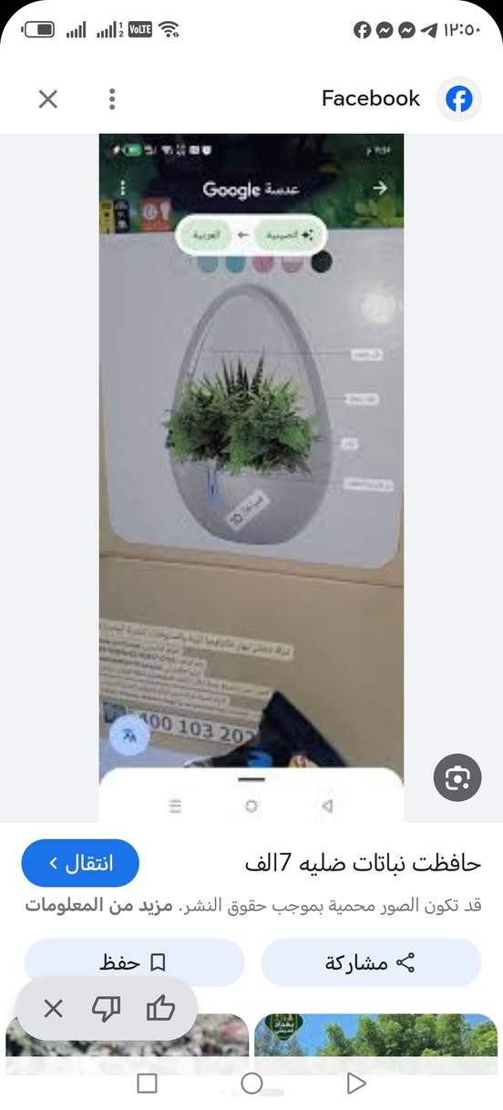 سندة بهل شكل تحتوي علا انارة اللنباتات الصغيرة  تهيت جوة مناسب النبتة اول تم 13 الف مع التوصيل


**إذا كنت صاحب هذا الإعلان وتريد حذفه لأي سبب، رجاءا أرسل رسالة إلى الدعم الفني**