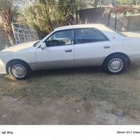 راس الثور • مكفولة • نجف مشخاب