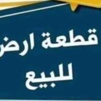 ١١٧٦م • سند ٢٥ • سيد منصور