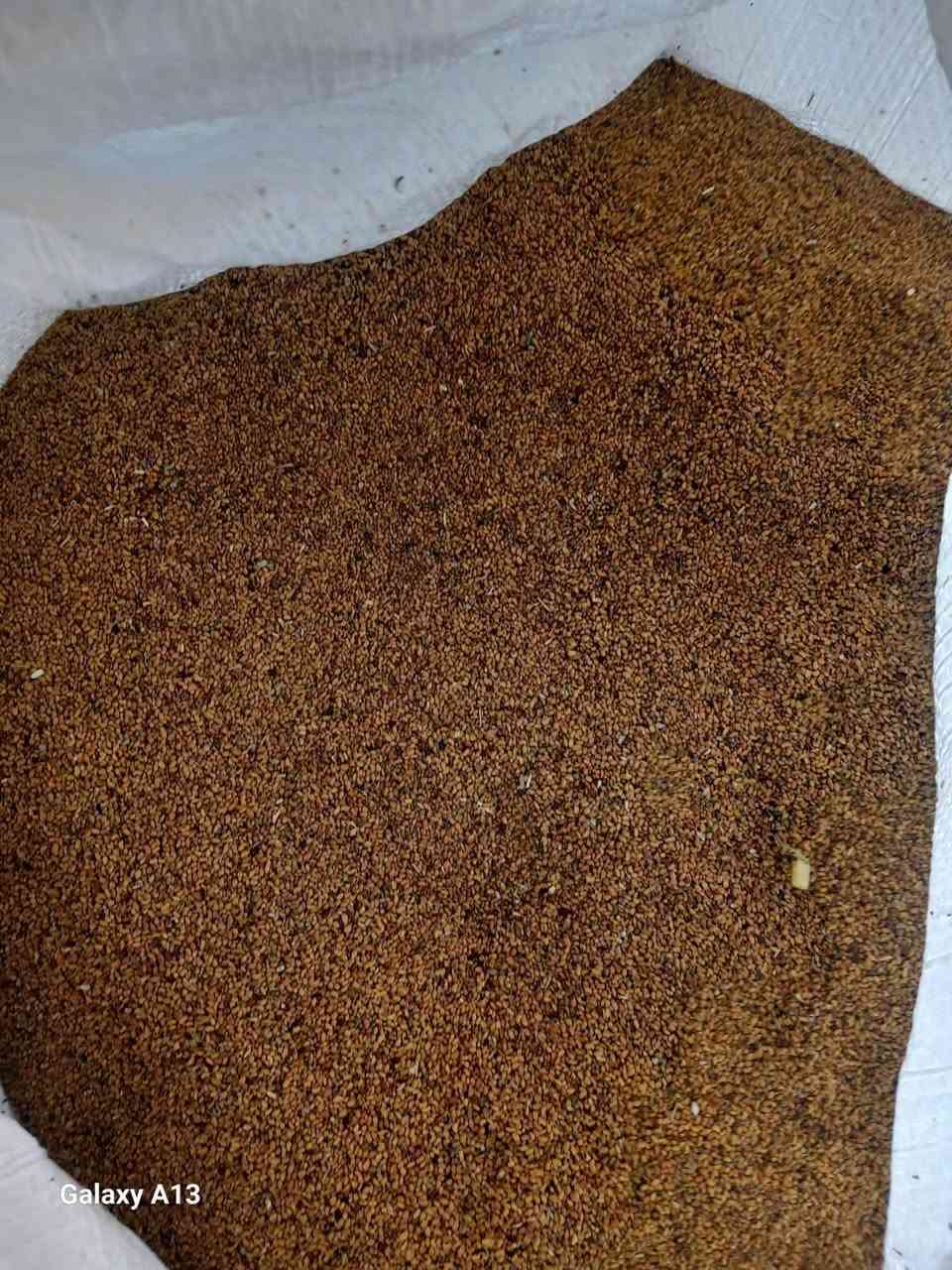 📢 متوفر الآن لدى مكتب الشاهين الزراعي
🌾 جت عراقي بجودة ممتازة
💰 السعر: 14,000 دينار للكيلو
🚚 خدمة التوصيل متوفرة
📍 العنوان: سامراء – مفرق الفلوجة
📞 للحجز والاستفسار: ***********
🔹 سارعوا بالحجز قبل نفاد الكميات.
