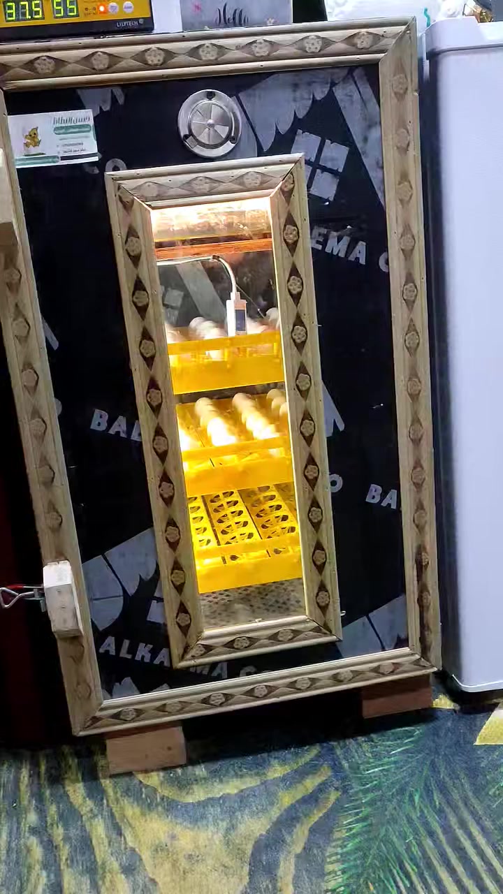 متاح فقاسه فول اوتوماتيك تقليب رطوبه حراره جهاز zl غني عن التعريف نتاج خير من الله هاي تفقيسه بل منشور تشيل 156 بيضه وياه قلاب اضافي دحرجه يشيل 70بيضه  السعر225 قفل بدون عمله المكان سوق الشيوخ  رقم الهاتف ***********
