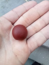 للبيع • متفرقات • أغراض شخصية