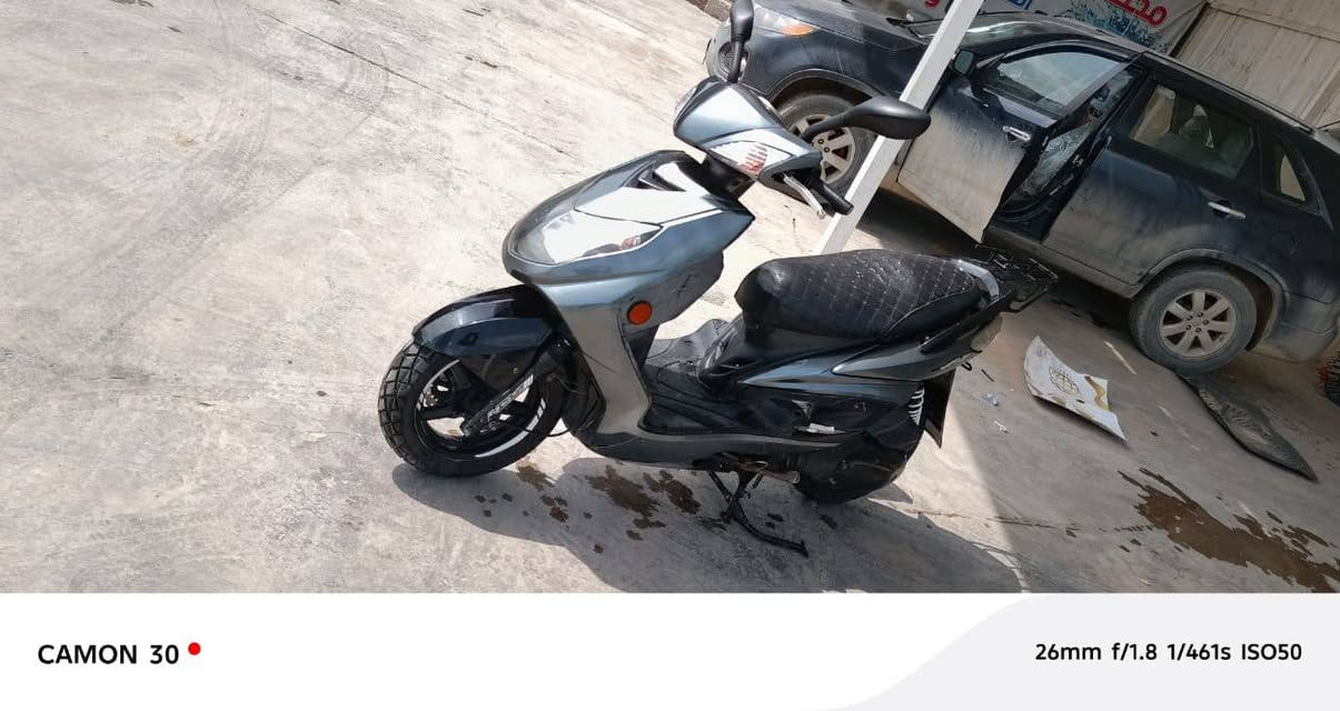 سكنس فحل نظيفه بلاديه جيب فيتر وتعال افحص مكاني سدة الهنديه
للتواصل *********** فقط واتساب
