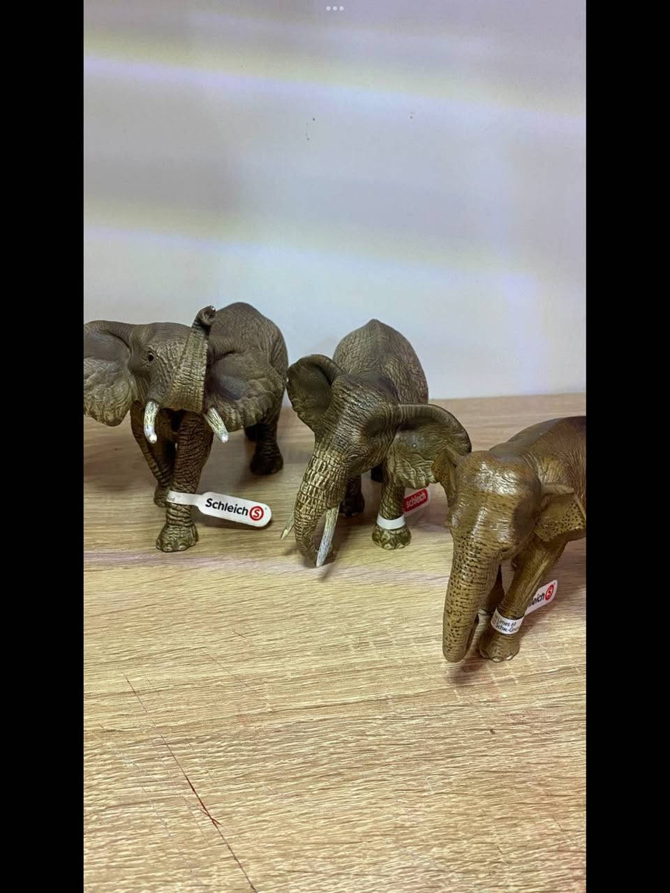 حيوانات وديناصورات اصلية مختومة 
لا يوجد توصيل


**إذا كنت صاحب هذا الإعلان وتريد حذفه لأي سبب، رجاءا أرسل رسالة إلى الدعم الفني**