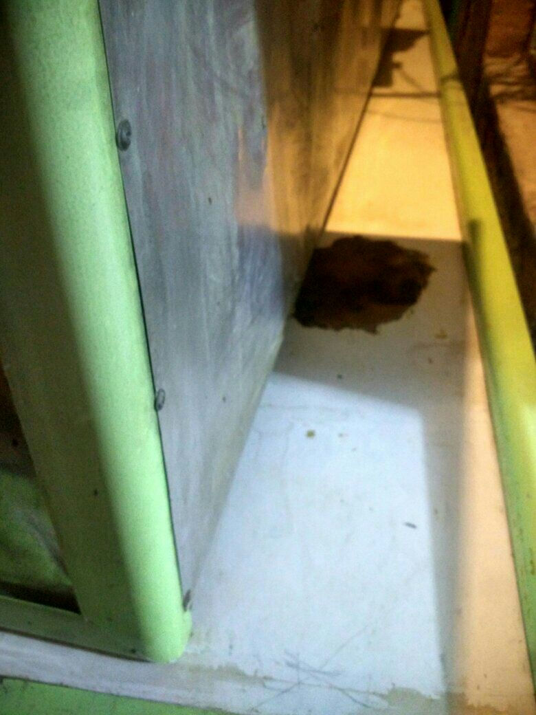 كاونتر مترين ونص عايز يدات بي هذا الضرر شي قليل ب150 وبي


**إذا كنت صاحب هذا الإعلان وتريد حذفه لأي سبب، رجاءا أرسل رسالة إلى الدعم الفني**