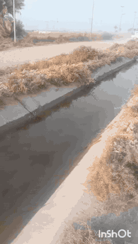 بستان دونمين ملك صرف علئ التبليط علئ شارعين امام وخلف تحويل    العنوان بغداد جانب الرصافه شرق القناة طريق السياحي منطقة كاسر بوص تبعد عن فلكة حي النصر 10 دقائق للااستفسار  رقم الموبايل ***********    والتوفيق للجميع تحياتنا
