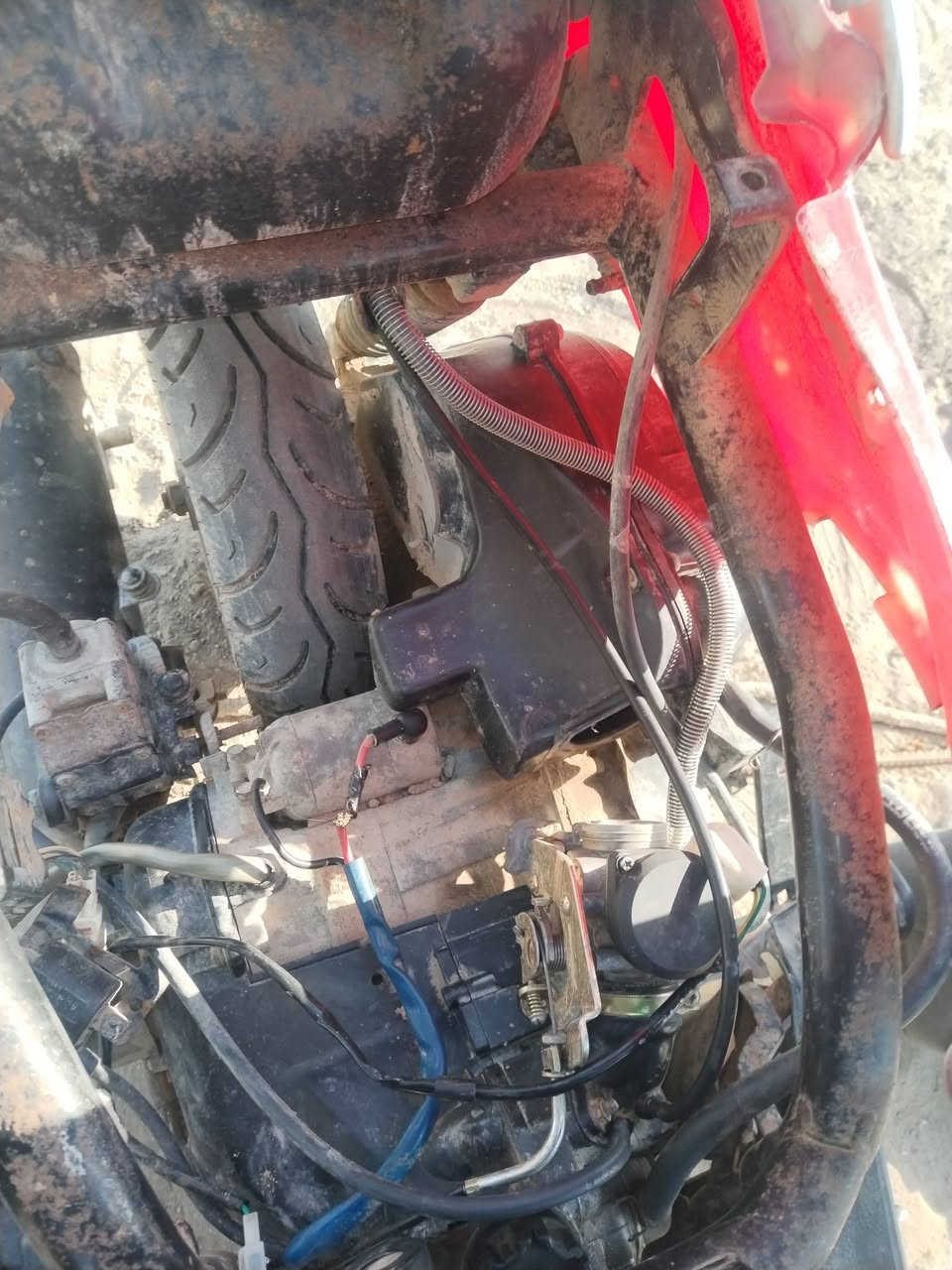 فراشه شغاله سلف هندر
السعر 190 بي مجال
***********
