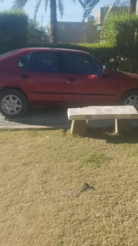 نيسان بريميرا موديل ٩٧ سياره جاهزه حتي لتبريد شغال ريد مراوس بسياره عاليه وحتي ذا فرق نطي كل شهر


**إذا كنت صاحب هذا الإعلان وتريد حذفه لأي سبب، رجاءا أرسل رسالة إلى الدعم الفني**