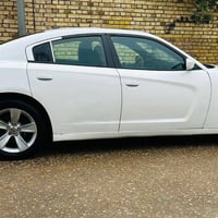 جانجر • ٢٠١١