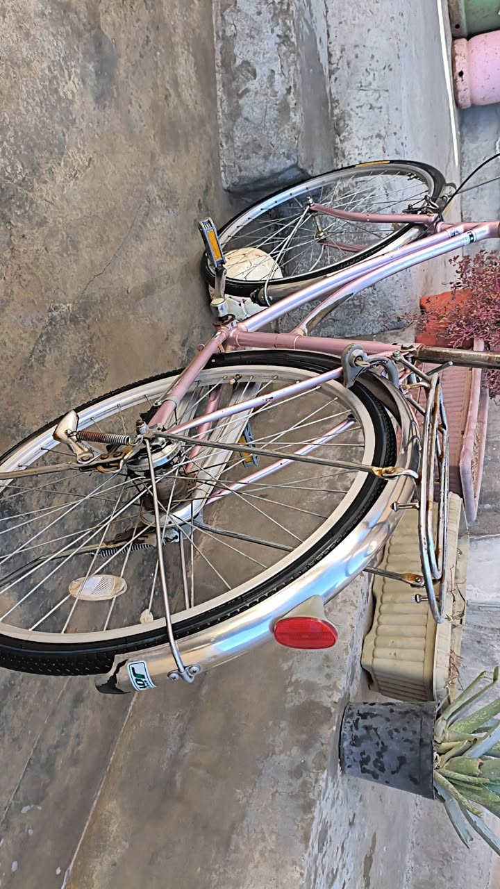 سلام عليكم بايسكل موزه للبيع بدلون وردي فاتح 3 كير لاستفسار ***********
