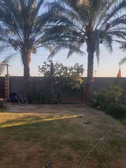 السلام عليكم ورحمة الله وبركاتة  بيت مع نصف دونم للبيع طابو زراعي يتكون من اربعةغرف نوم ومطبخ وصالة واستقبال كونكريت طابوق جمهوري يبعد عن طريق حلة كربلاء ٧٠٠ م  تبليط  الاتصال ***********
