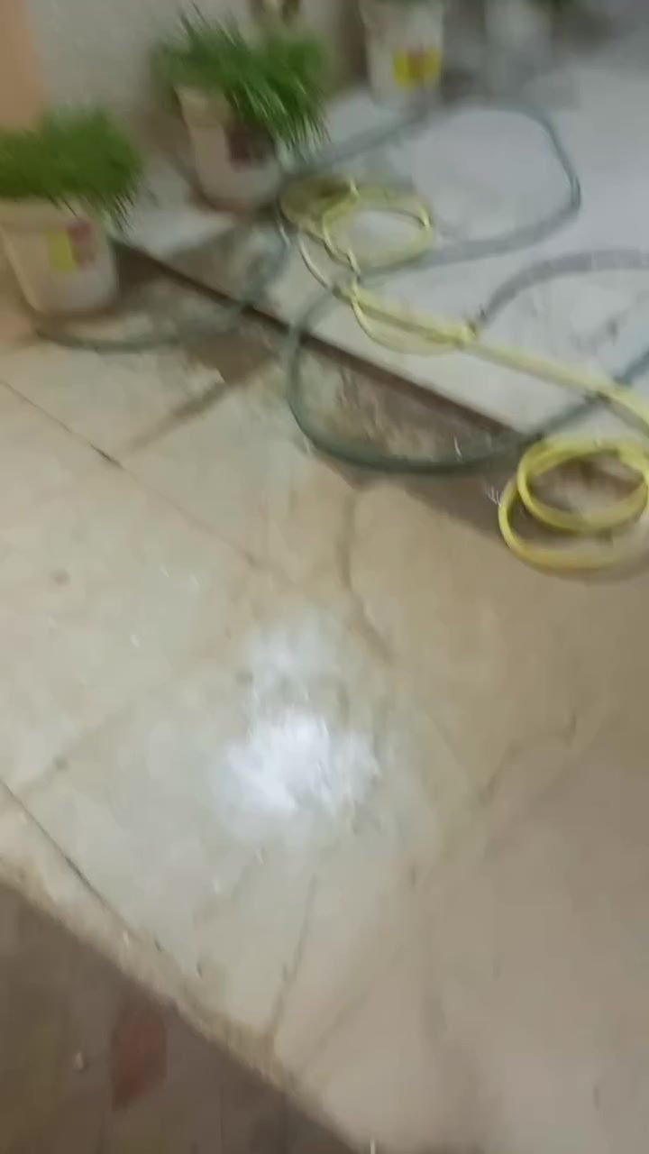 بيت للايجار بالقبله بحي القائم قريب سوق المسطر بيه غرفه نوم وهول وديوانيه ومطبخ وصحيات وكراج وتانكي وماطور وكيزر اجاره ب500 مع الماء والكهرباء اي استفسار على هذا الرقم ***********
