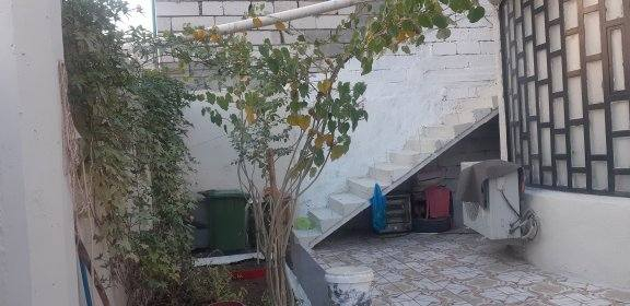 #مساحة 220 متر
طابوو زراعي سند 25
يحتوي البيت على 
غرف 5♦️
ديوانيه♦️
مطبخ حار وبارد
صاله♦️
كراج للسياره
ترك داير ما داير البيت 
حديقه
غرفه من الغرف سويت طولها ٩ امتار 
#العنوان المكان البصرة . الاستفسار اتصل على ه̷̷َـَْـُذآ الرقم ***********
