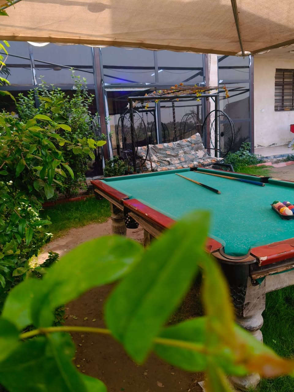 سلام عليكم متوفره مزرعه الايجار الدوره البوعيثه سعر مناسب وموثقه بتطبيق اجرلي والاستفسار والحجوزات هذا الرقم ***********
