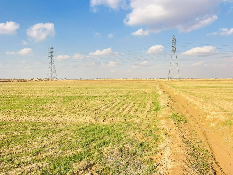 سلام عليكم قطعه ارض للبيع مساحة 30دونم 
مزروعه حنطه مثل ماموضح بل صوره 
مكان بغداد النهروان  سعر خاص 

رقم الهاتف ‭0780 898 2817‬
