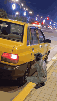 مديل 12 • كربلاء • متعوب عليه