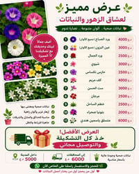 للطلب • تواصل خاص • ماسنجر