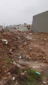 مزارع الحدباء • ٢٥٠م • واجهة ١٢م