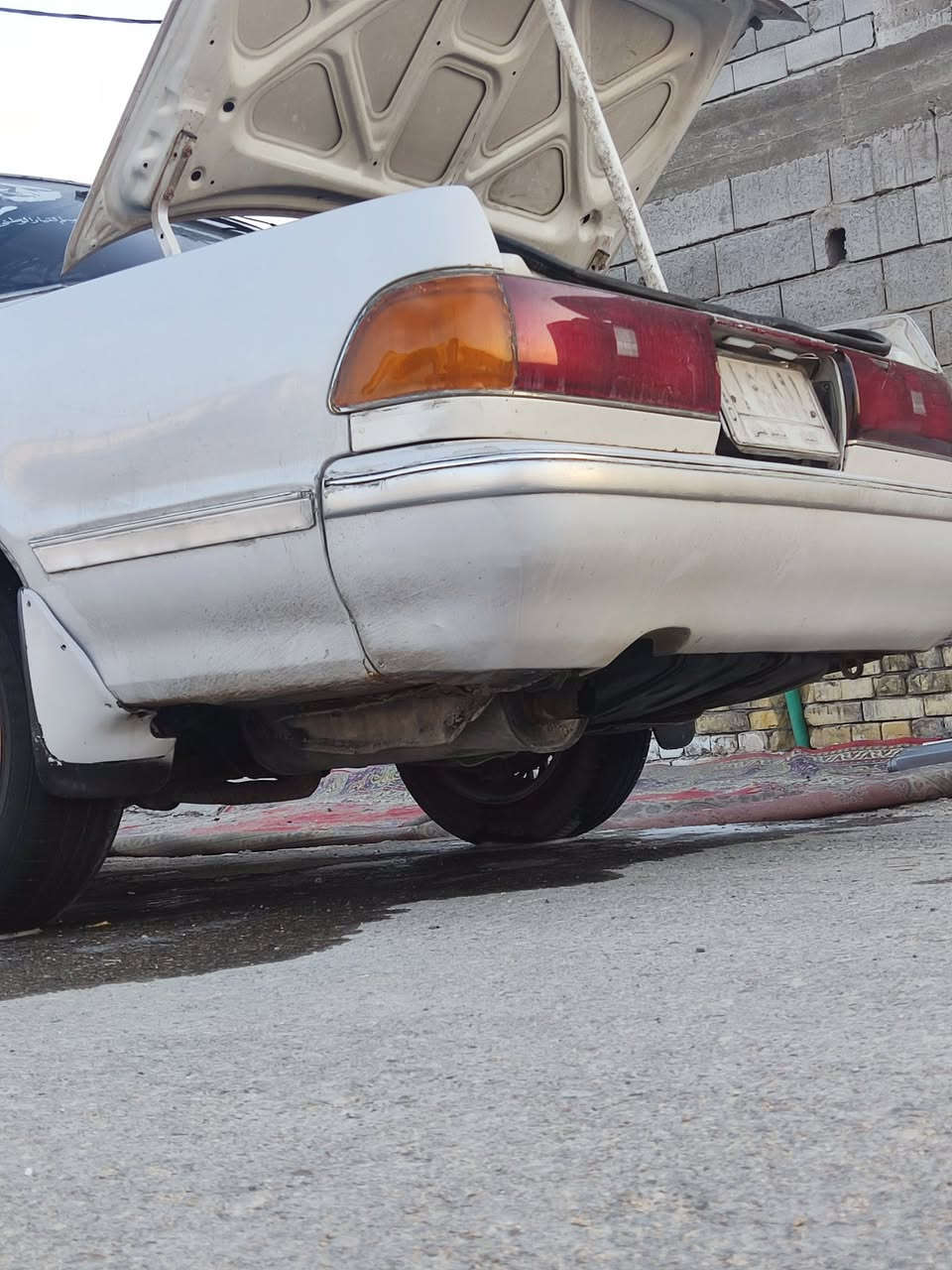 سلام عليكم سياره مارك كصيف سياره كفاله عامه من كلشي تخم تاير حداديه حلوه غرفتيه كشنات حلوات رقم نجف مشروع وطني اليف وكينه بدون لا تبخير ولا تنقيص وكير حلو ما بيه اي مشكله رقم جهاز ***********
