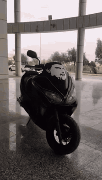 سلام عليكم ورحمة الله ♥
مره خصت مدير الكروب 
دراجه فورزه عميه بلاد ٠٨
اسود طافي اوراق 
دراجه كامله مكينه مكفوله 
شريط فسفوري 
كهربايات كلهة شغاله 
سماعات بس بدون مسجل
تايرات جدد 
باتري جديد 
بصمه 
اشاير شغاله دبل اشار
مرايات بلاد
كلوب جنطه 
وبعد بيهة هواي موصفات 
صالنصه كاتم سايد بريك شغال 
دراجه وصخة لان ماغاسلهة مطر وطين مدكرها موجود
دراجه كلشي مامبدل بيها 
هاذ رقمي وتدلل ***********
دراجه جاهزه مستعجل عل بيهة 
سعر بدون زحمه قفل
800
