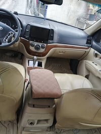 سنتافيا • ٢٠٠٩ • صبغ عام